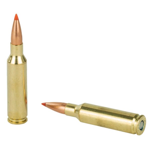 Federal, Varmint and Predator, V-Max, 6.5 Creedmoor, 95 Grain