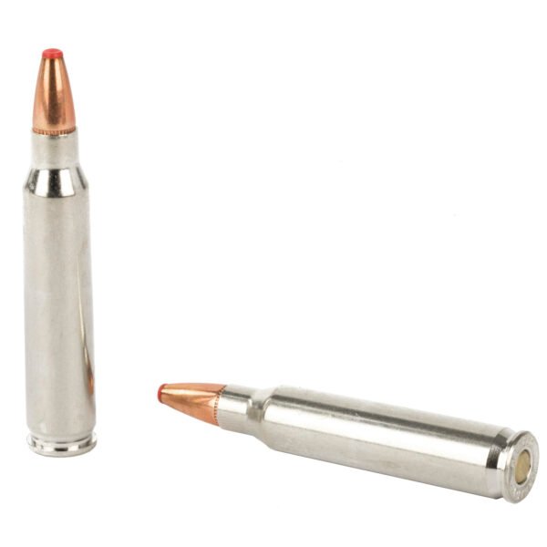 Hornady, Critical Defense Rifle, 223 Remington, 55 Grain, FlexTip