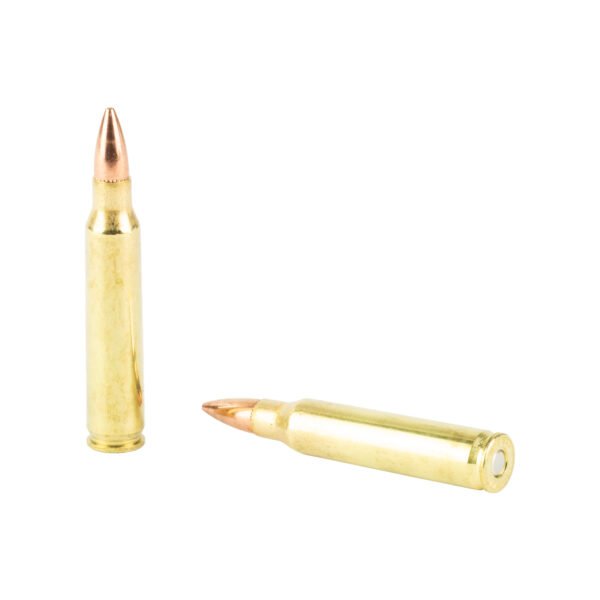 Hornady, Custom, 223 Remington, 55 Grain, Full Metal Jacket
