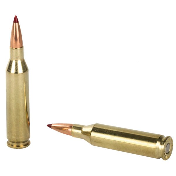 Hornady, Precision Hunter, 243 Winchester, 90 Grain, ELD-X
