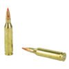 Hornady, Superformance, 243WIN, 95 Grain, SST