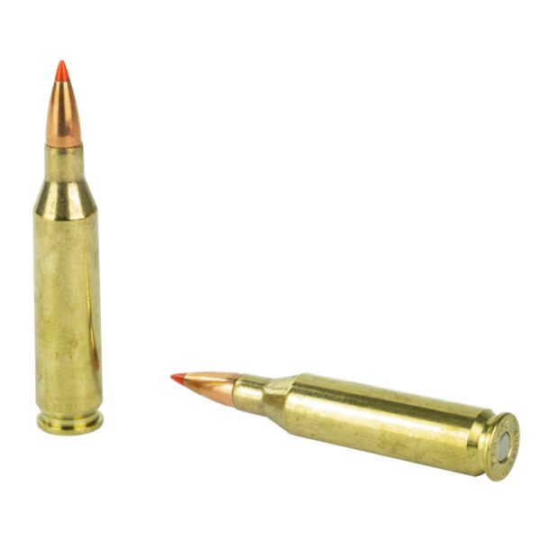 Hornady, Superformance, 243WIN, 95 Grain, SST
