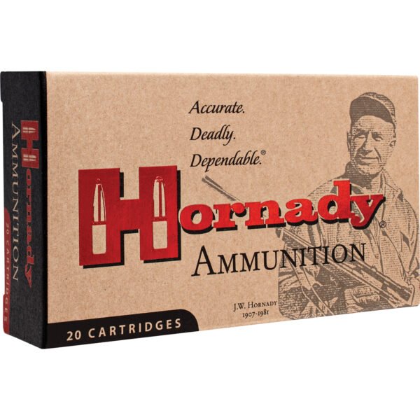 Hornady, Custom, 300 Blackout, 110 Grain, CX