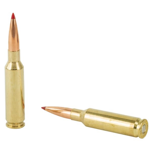 H81499_4_HR Hornady, Precision Hunter, 6.5 Creedmoor, 143 Grain, ELD-X