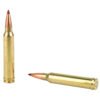 Hornady, Precision Hunter, 300 Win, 200 Grain, ELD-X