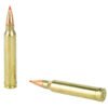 Hornady, SuperFormance, 300 WIN MAG, 180 Grain, SST
