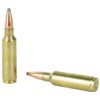 Hornady, American Whitetail, 300 WSM, 165 Grain, InterLock, 20 Round Box
