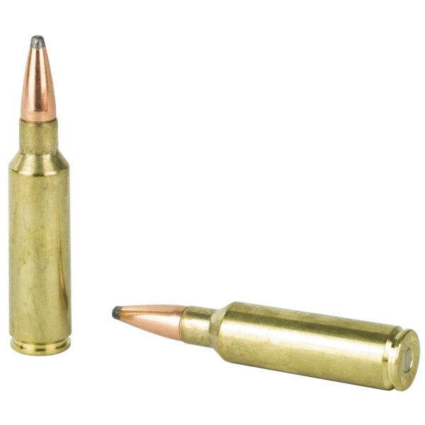 Hornady, American Whitetail, 300 WSM, 165 Grain, InterLock, 20 Round Box