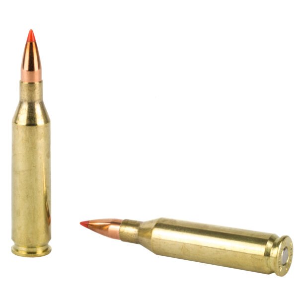 Hornady, Superformance Varmint, 243 Win, 75 Grain, V-Max