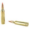 Hornady, Superformance Varmint, 243WIN, 58 Grain, V-Max