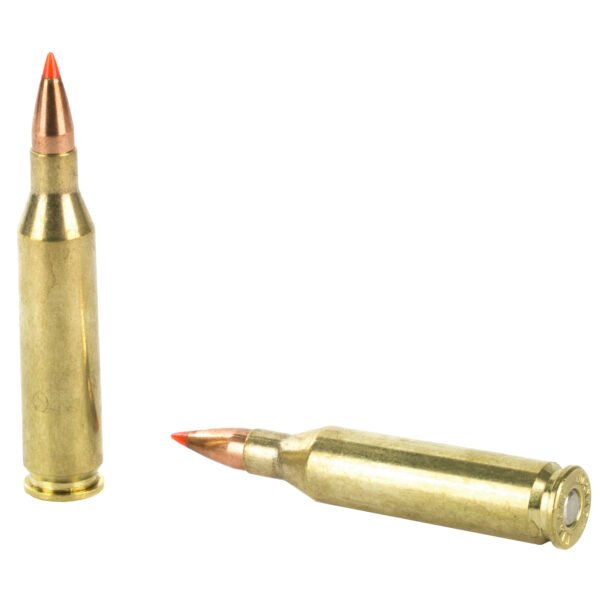 Hornady, Superformance Varmint, 243WIN, 58 Grain, V-Max