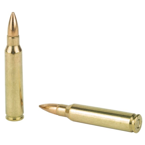 PMC223A_4_HR PMC Ammunition, Bronze, 223 Remington, 55 Grain, Full Metal Jacket