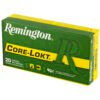 Remington, Core Lokt, 243 Winchester, 100 Grain, Pointed Soft Point