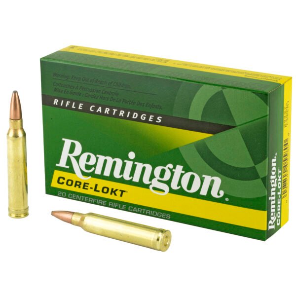 Remington, Core Lokt, 300 WIN Magnum, 180 Grain, Pointed Soft Point