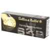SB460B_3_HR Sellier & Bellot, Pistol, 460 S&W, 255 Grain, Jacketed Hollow Point