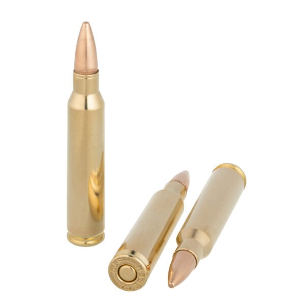 STV Technology, Scorpio Ammo, 223 Remington, 55 Grain, FMJ, Case (1,000 Rd)