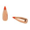 Hornady, V-Max, .224 Diameter, 22 Caliber, 40 Grain, Ballistic Tip, 100 Count